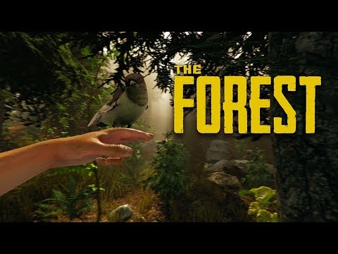 The Forest (PC, PS4)