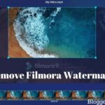 5+ Ways to Remove Filmora Watermark (All Versions)